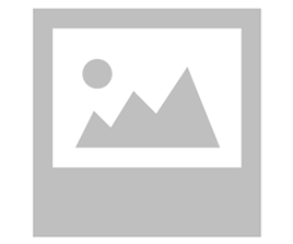 gujrati simple thali